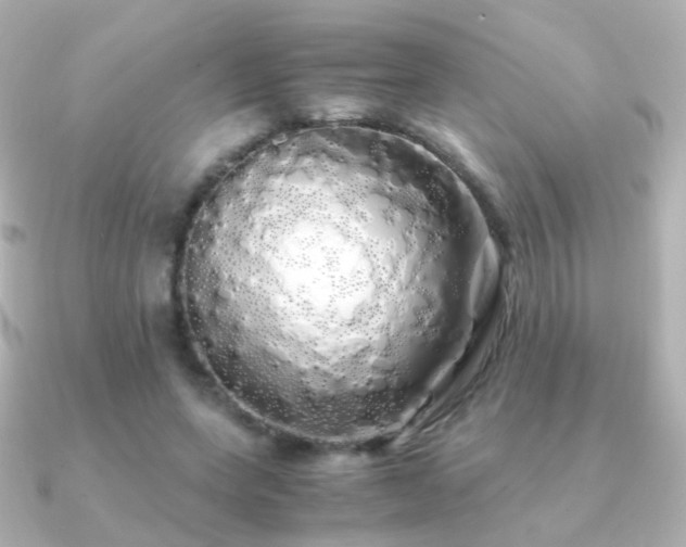 X0000091240543200708091437