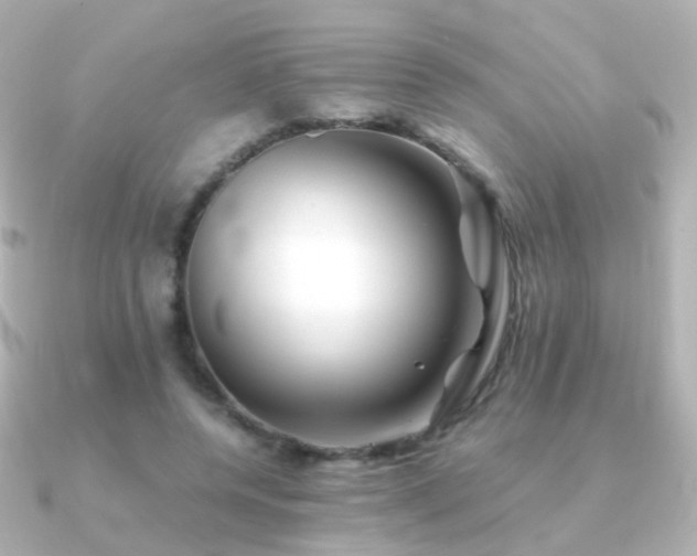 X0000091240544200708091437