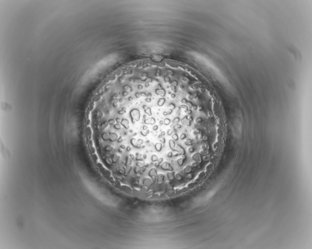 X0000091240546200708091437