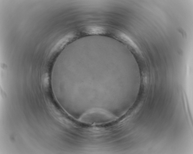 X0000091240549200708091437