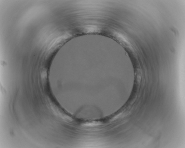 X0000091240550200708091437