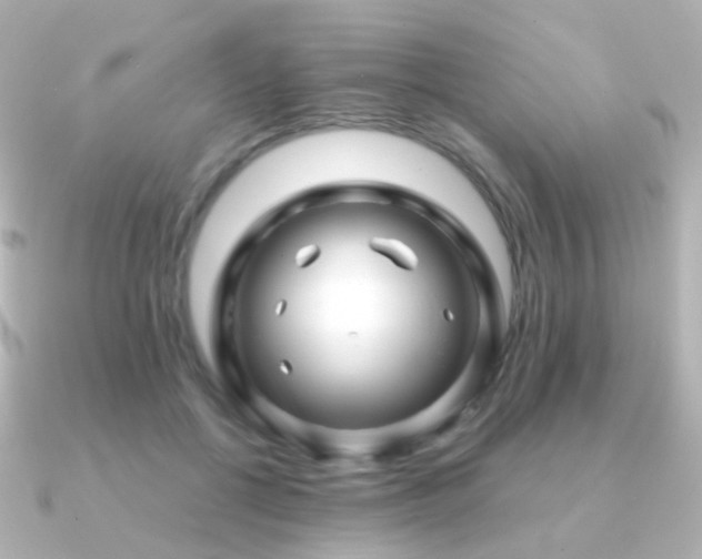 X0000091240552200708091437