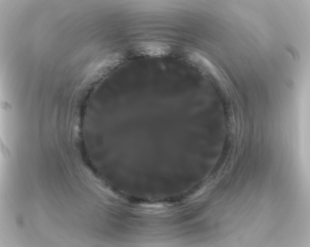 X0000091240553200708091437