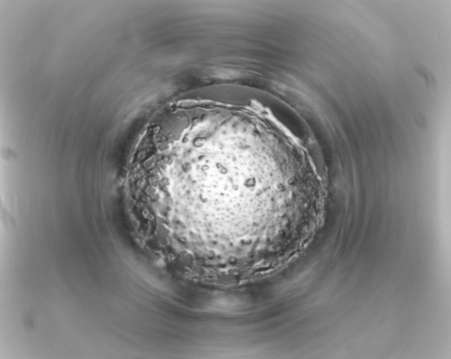 X0000091240555200708091437
