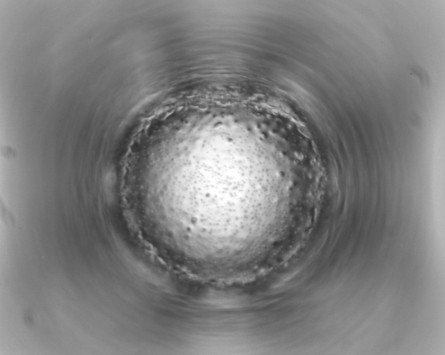 X0000091240556200708091437