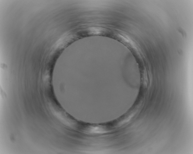 X0000091240557200708091437