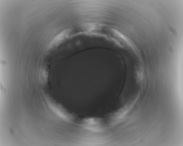 X0000091240558200708091437