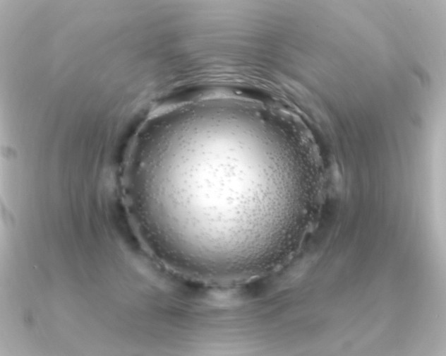 X0000091240560200708091437