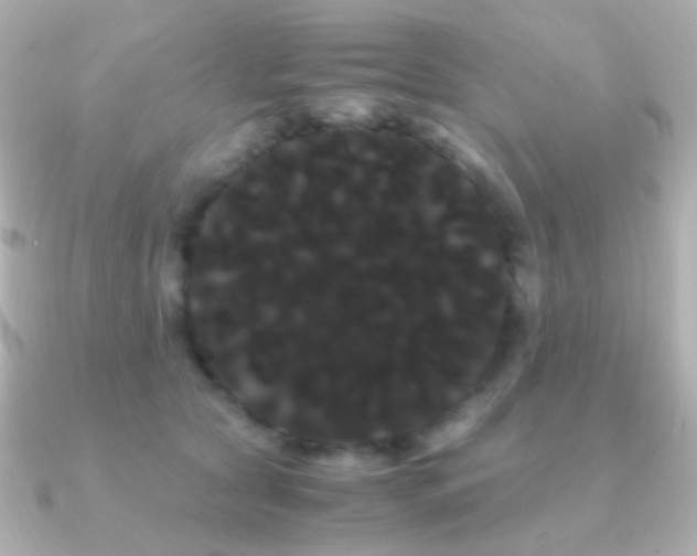 X0000091240561200708091437