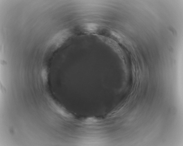X0000091240562200708091437