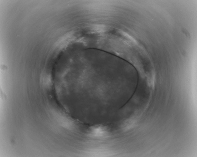 X0000091240564200708091437