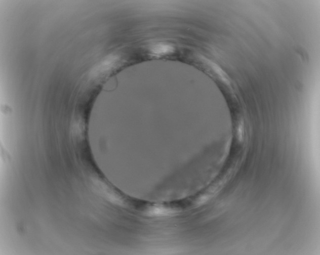 X0000091240565200708091437