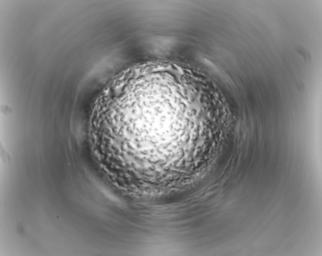 X0000091240566200708091437