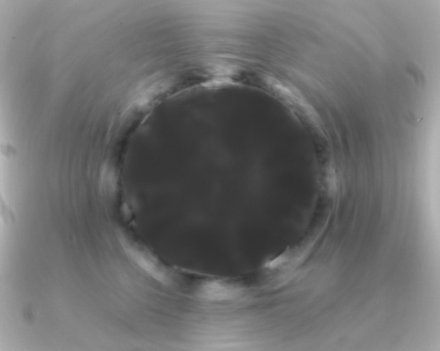 X0000091240568200708091437