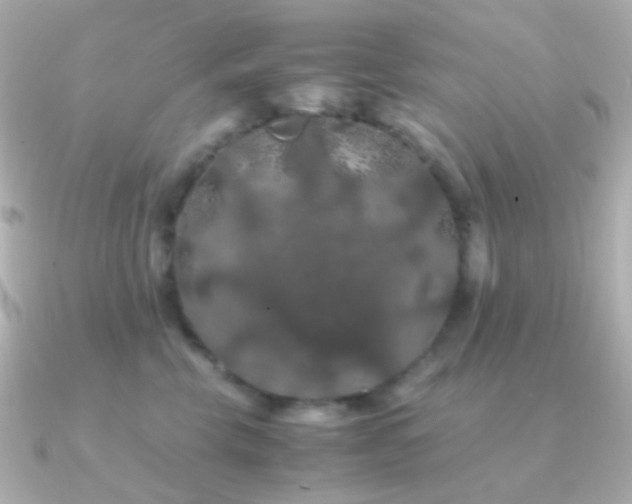 X0000091240569200708091437