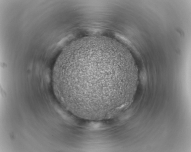 X0000091240570200708091437