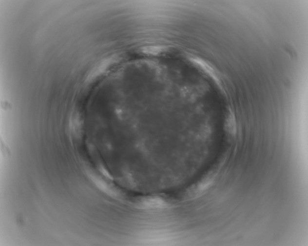 X0000091240572200708091437