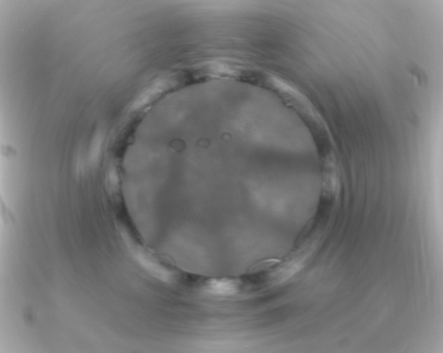 X0000091240573200708091437