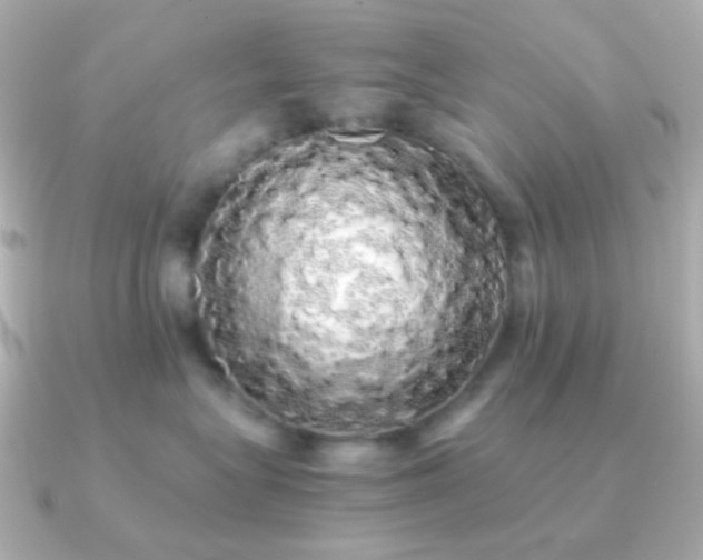 X0000091240575200708091437