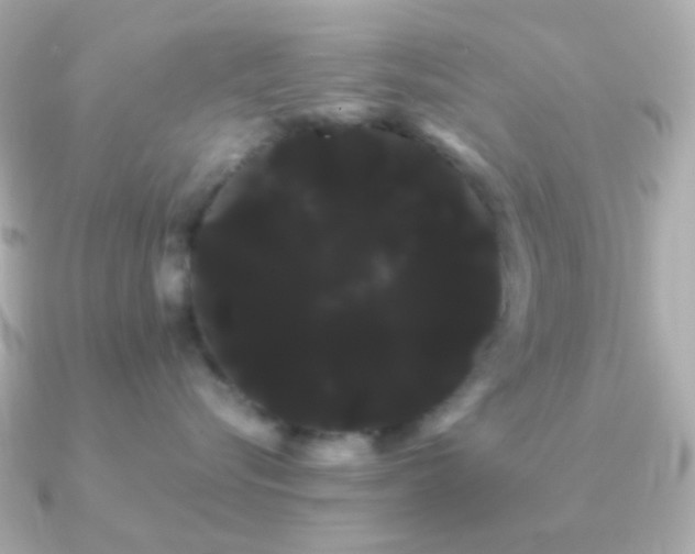 X0000091240576200708091437