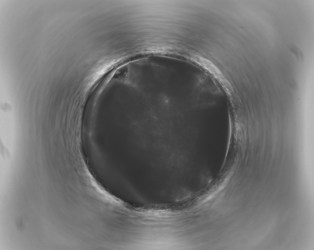 X0000091240577200708091437