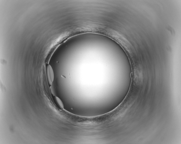 X0000091240578200708091437