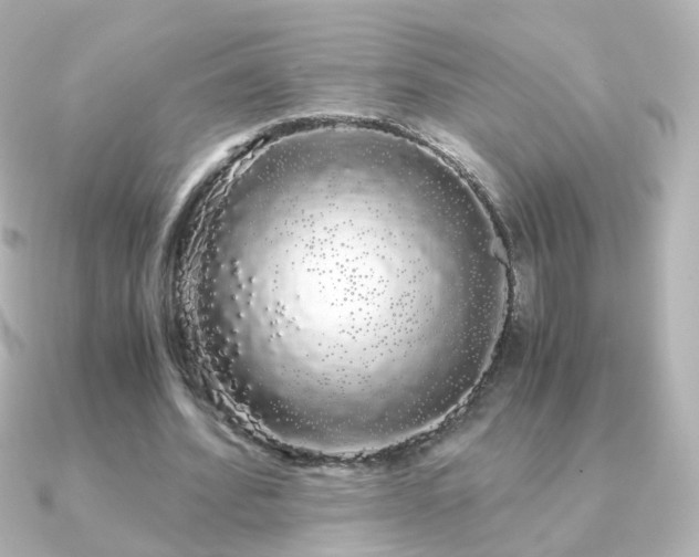 X0000091240580200708091437