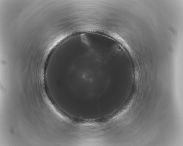 X0000091240581200708091437