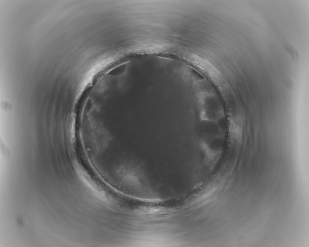X0000091240582200708091437