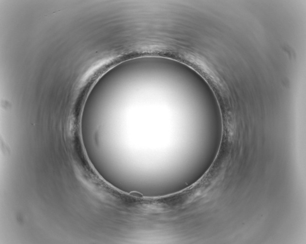 X0000091240583200708091437