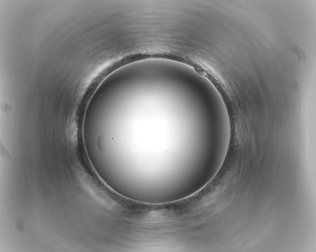 X0000091240584200708091437