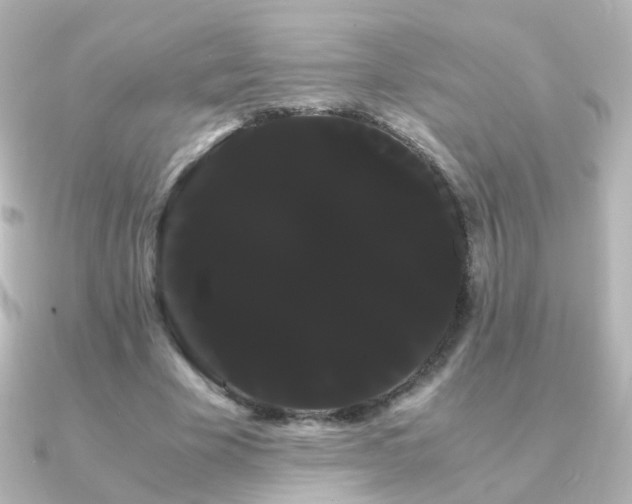 X0000091240585200708091437