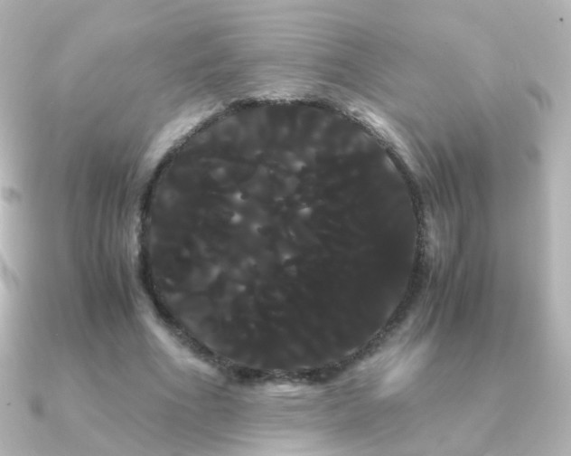X0000091240586200708091437