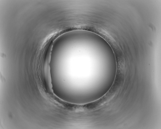 X0000091240587200708091437