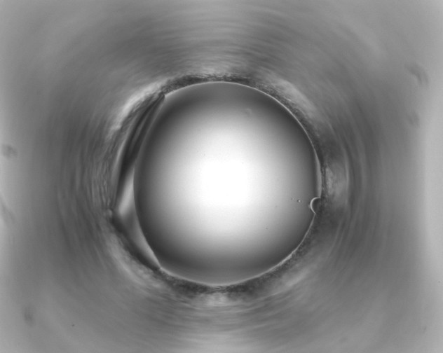 X0000091240588200708091437