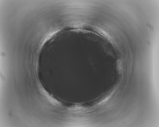 X0000091240589200708091437