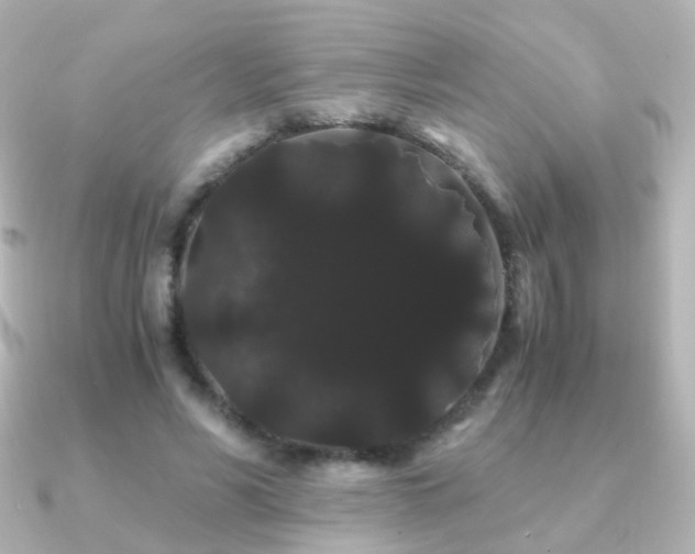 X0000091240590200708091437