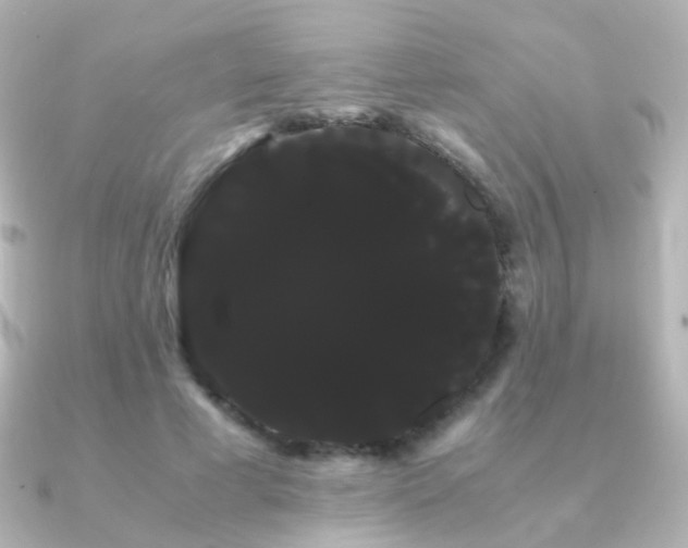 X0000091240593200708091437