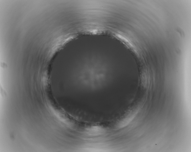 X0000091240594200708091437
