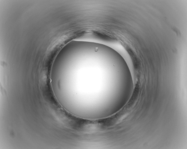 X0000091240595200708091437