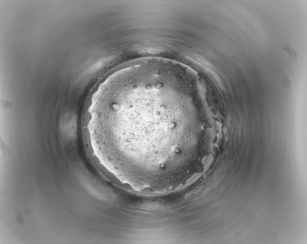X0000091240596200708091437