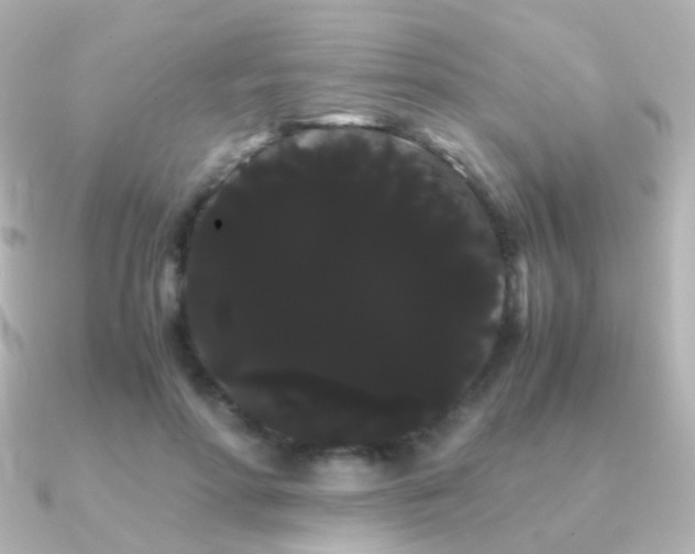 X0000091240598200708091437