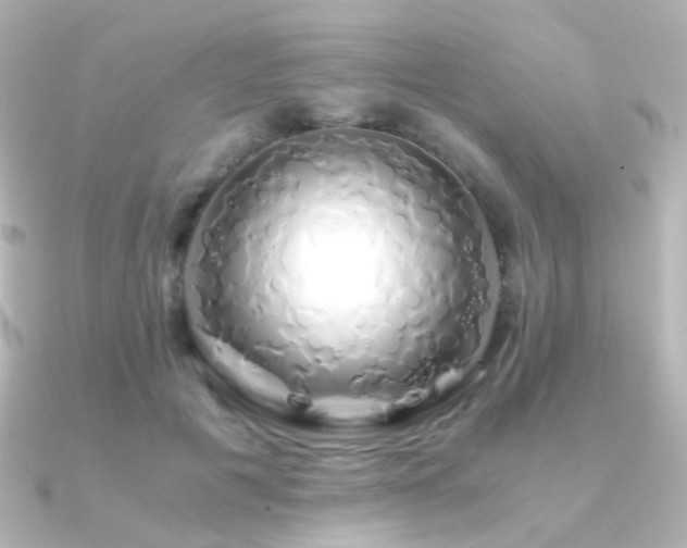 X0000091240601200708091437