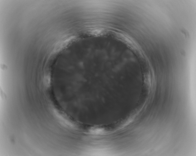 X0000091240602200708091437