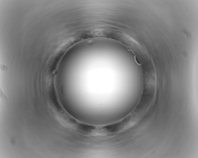 X0000091240603200708091437