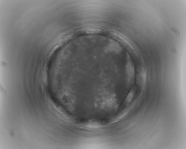 X0000091240604200708091437