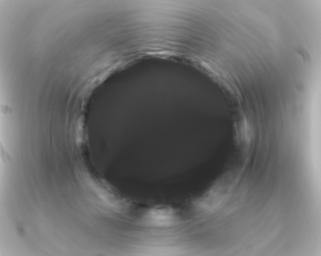 X0000091240606200708091437