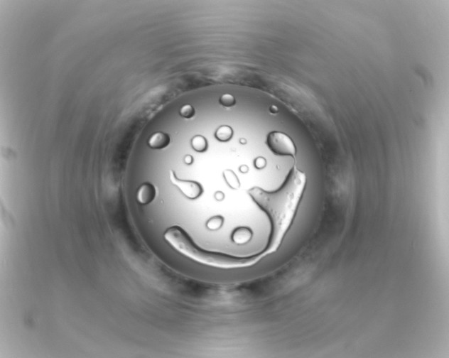 X0000091240607200708091437