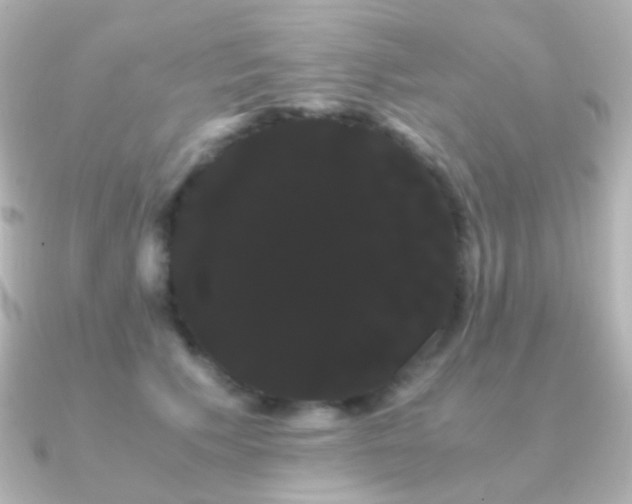 X0000091240609200708091436