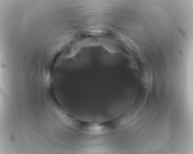 X0000091240610200708091436